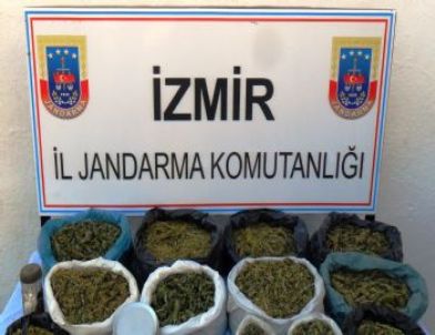 Jandarmadan Uyuşturucu Operasyonu