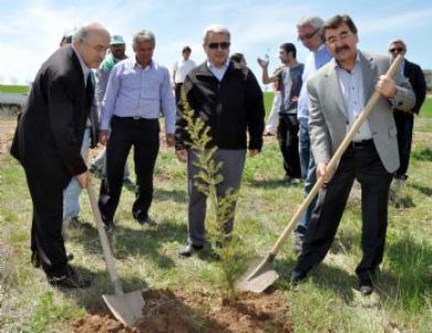 Türk Ocakları, Gölbaşı’nda Fidan Dikti