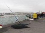 HAKAN ERDEMIR - Galata Köprüsü’nde İbretlik Ölüm