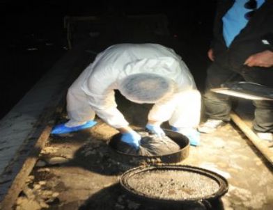 Zift Tankerinden Esrar Çıktı