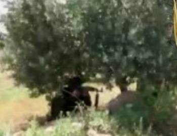 Hizbullah Suriye'de ilk kez görüntülendi