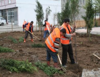 Sanayi Siteleri Yeşilleniyor