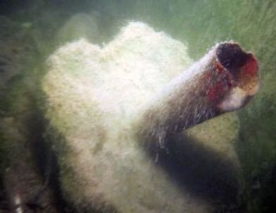 Seyhan Baraj Gölünden İki Günde 15 Ton Çöp Çıktı