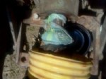 HACıRAHMANLı - Ayaklarını Traktörün Kuyruk Miline Kaptırdı