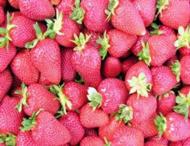 Aydın’dan Romanya ve Sırbistan’a Çilek İhracatı Başladı