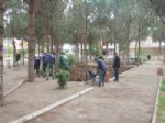 FIKRET AKOVA - Burhaniye’de Leman Güçlü Parkı Yenileniyor