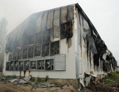 Çiftlikte Yangın Çıktı, 80 Bin Tavuk Telef Oldu