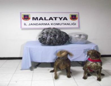 Malatya'da Esrar ve Kaçak Sigara Ele Geçirildi