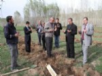 EROL TANRıKULU - Muradiye’de Elma Fidanı Dikimi