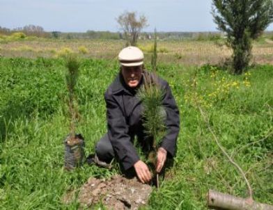 Chp’liler Mezarlığı Ağaçlandırdı