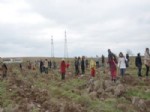 FEN BILGISI - Esogü Eğitim Fakültesi’nden Fidan Dikme Etkinliği
