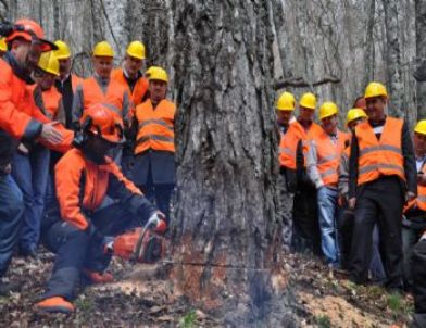 Ormanda Uygulamalı Eğitim