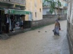 Siirt'te Birçok Ev ve İş Yerini Su Bastı Haberi
