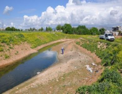 Kızıltepe Belediyesi İlaçlama Çalışmalarına Başladı