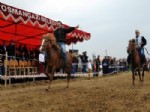 OSMAN GAZI - Rahvan Atları Yarışlarının Sonuçları Belli Oldu
