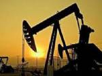 NÜKLEER REAKTÖR - Türkiye Sibirya'dan petrol çıkaracak