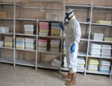 Türkiye Balkan Ormanları İçin Laboratuvar Kurdu