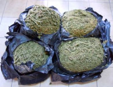 Tarsus’ta 20 Kilo Esrar Ele Geçirildi