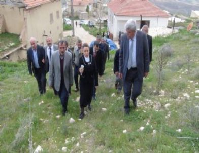 Ak Parti Malatya Milletvekili Öznur Çalık, Akçadağ’ı Ziyaret Etti