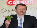 İMDAT SÜTLÜOĞLU - Çaykur Taze Çay Alacak