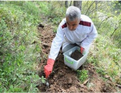 Terminatör Böcekler Görev Başında