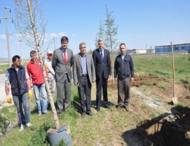 Afyonkarahisar Osb'de 6 Bin 500 Fidan Toprakla Buluşturulacak