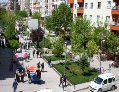 Ağaç Kesti 10 Ay Hapis Cezası Aldı