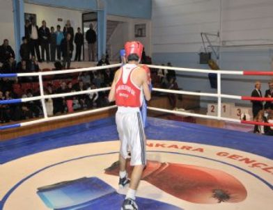 Gençlerden Bir Altın, Üç Gümüş