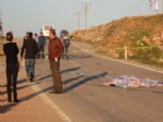 Nurhak'ta Trafik Kazası: 1 Ölü, 1 Yaralı