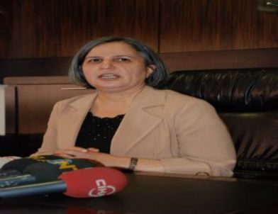 Bdp Genel Başkan Yardımcısı Gültan Kışanak: Kandil'de atılan adım büyük bir adım