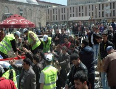 Erzurum’da Fidan İzdihamı