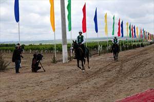 Türkmenistan’da At Bayramı etkinlikleri başladı