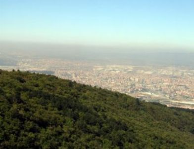Bursa’nın Yüzde 45’i Orman