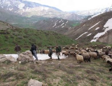 Şemdinli’de Kaçakçılık Operasyonu