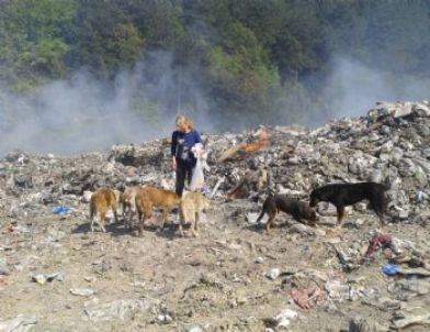 Çöplüğe Terk Edilen Sahipsiz Köpeklere Hayvanseverler Sahip Çıktı