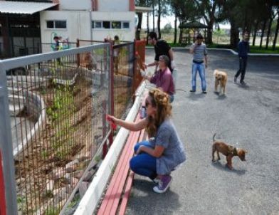 Öğrenciler Hayvan Barınağı'nı Gönüllülerce Boyadılar