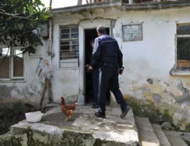 Bafra’da Horoz Hırsızlığı