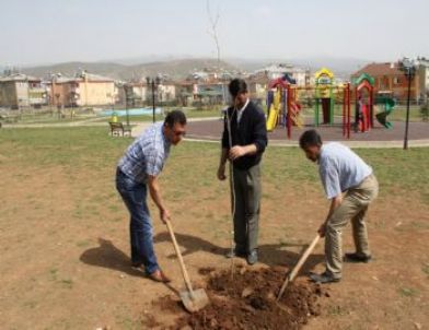 Bingöl Belediyesi Kent Merkezini Renklendirdi