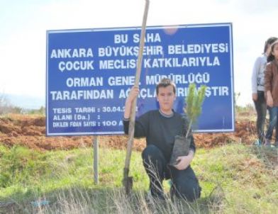 Çocukların Ormanı Büyüyor