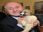 SELAMI ÖZTÜRK - Kadıköy'de Pet-Shoplarda Hayvan Satışı Yasağı Başladı