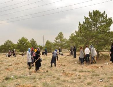 Meram’da Kursiyerler Fidan Dikti