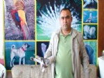 Güvercin 8 Bin Liraya Satıldı