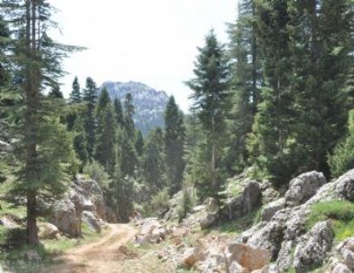 Kozan’da Yamaç Paraşütü İçin Yol Açma Çalışması Başlatıldı