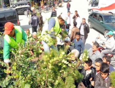 Akdeniz Belediyesi Binlerce Çiçek ve Fidan Dağıttı