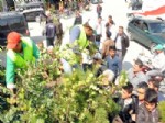 ADANALıOĞLU - Akdeniz Belediyesi Binlerce Çiçek ve Fidan Dağıttı