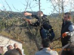 YEŞILDAĞ - Ersizlerdere'de Çiftçilere Uygulamalı Ağaç Budama Eğitimi Verildi
