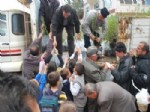 AHMET TORUN - Pazarlar’da 2 Bin Adet Badem Fidan Dağıtıldı