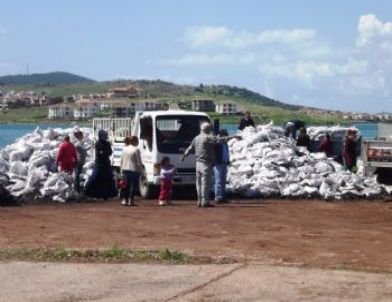 Ayvalık’ta Kömür Dağıtımı Devam Ediyor