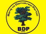 Bu da BDP'nin Anayasa taslağı