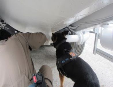 Hatay’da Uyuşturucu Operasyonu